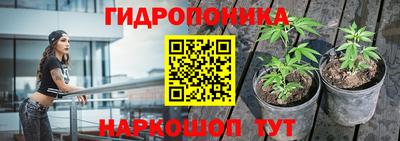молекула духа Апрелевка