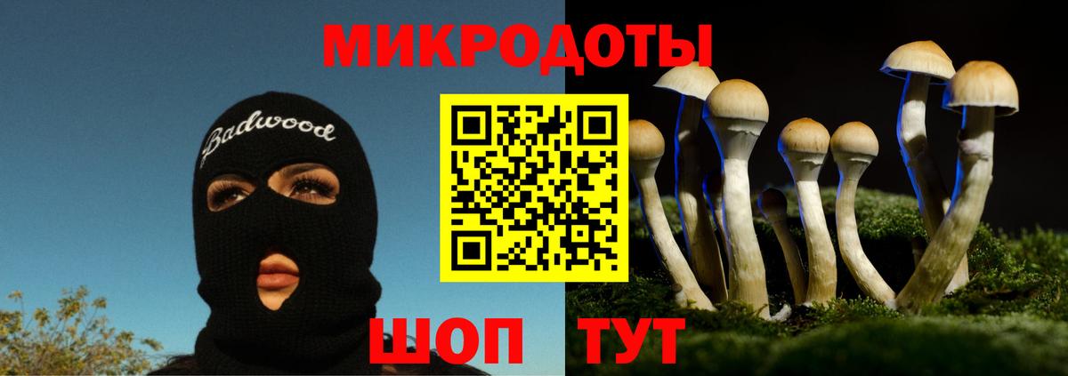 Верхний Уфалей  где купить наркоту  Вход с VPN  Галлюциногенные грибы прущие грибы  Галлюциногенные грибы Psilocybine cubensis 